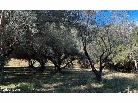 terrain 401 m² castries