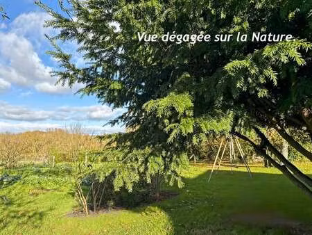 vente maison piscine à teillé (44440) : à vendre piscine / 152m² teillé