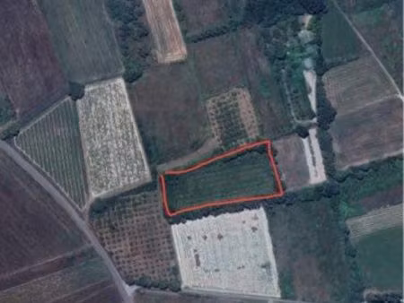 a louer : terrain agricole de 7000 m² à laudun
