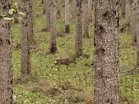 recherche location maison