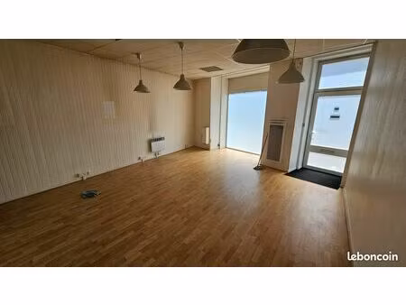 local professionnel 55 m²