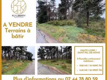 terrain 1228 m² saint-pal-de-mons