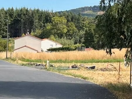 terrain à bâtir 950m2 borne 43350