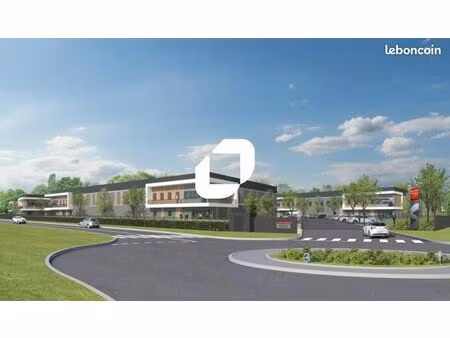 local d'activité 21 993 m²