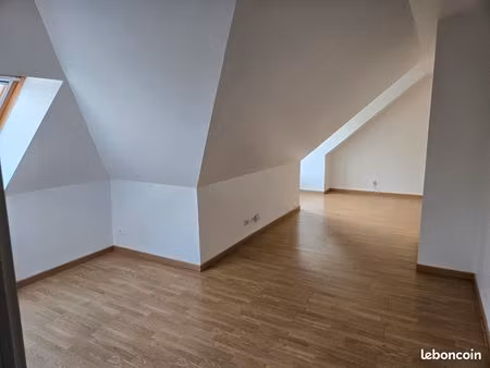 appartement 33m² loi carrez (44m² au sol) - 1 pièce