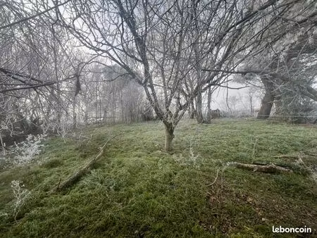 terrain arboré de 1000m2 avec forage et fosse sceptique a reprendre