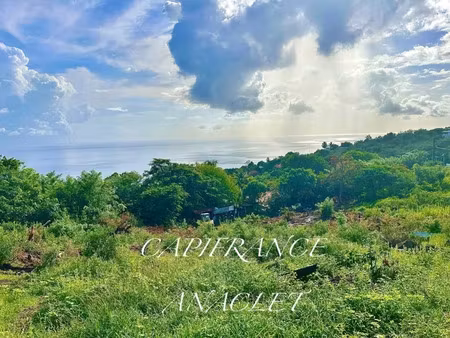 vente terrain 1606 m² à bellefontaine (97222)  180 000 €