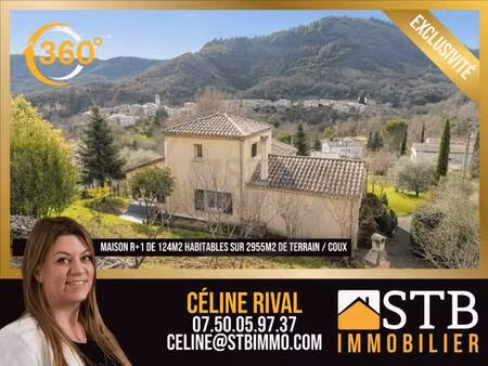 stb immobilier