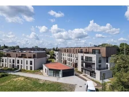 appartement à louer à kapmes 6 lier (rbu95846)