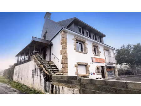 vente immeuble 270 m² à pluvigner (56330)  365 000 €