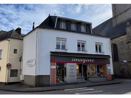 vente immeuble 190 m² à pluvigner (56330)  225 000 €