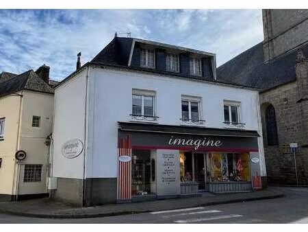 vente immeuble à pluvigner (56330) : à vendre / 190m² pluvigner