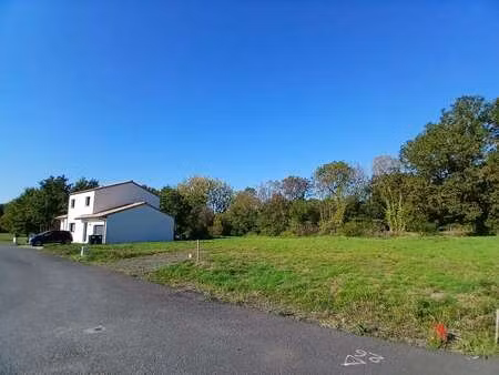 vente terrain à saint-aignan-grandlieu (44860) : à vendre / saint-aignan-grandlieu