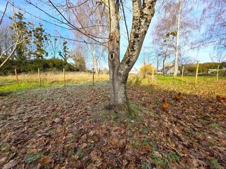 vente terrain à baugé (49150) : à vendre / 1679m² baugé