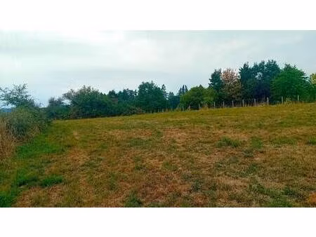 terrain constructible viabilisé à vendre