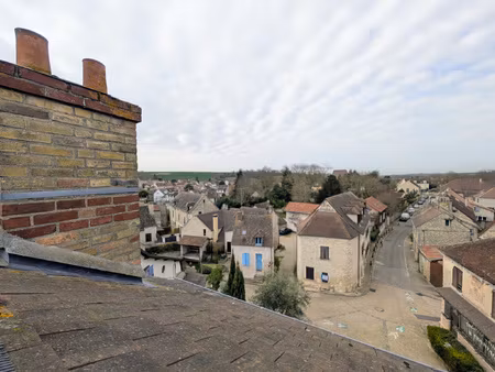 maison de charme rénovée - 7 pièces avec terrasse sud au coeu