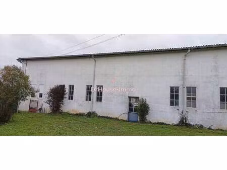 polato angelique dr house immo