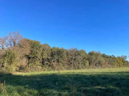 lotissement fontenilles - 985 m2