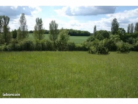 terrain à bâtir 6000m2 lauraet (32 330)