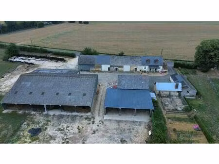 pascal leroy consultant megagence