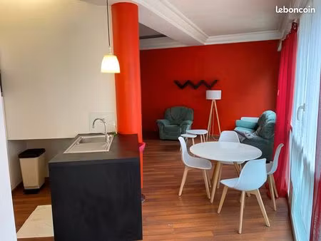 mini loft meublé plein centre