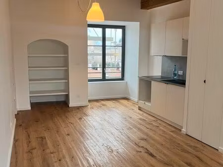 magnifique t3 cœur de neuville sur saone