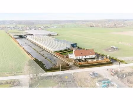 prachtige villa met loods en serrecomplex op ± 2 ha te laarne zonder bedrijfsovername