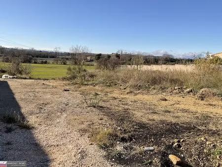 terrain