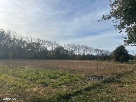 terrain à louer – mas d’avall – 4 000 m² (ou 8 000 m²)