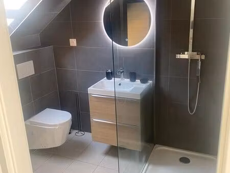 appartement entièrement rénové 50m2