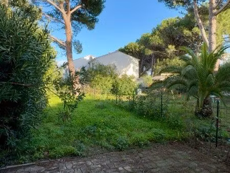 à louer – maison alba marana (borgo)