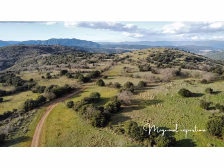 domaine de 145 hectares avec petit mas à rénover à clermont l’hérault (34) france