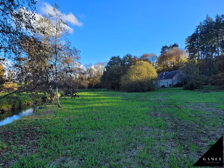 achat maison 8 pièces 330m² st brice en cogles 35460