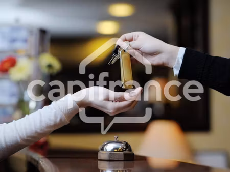 fonds de commerce à vendre lourdes 53 pièce(s) 2550m2 784 000€