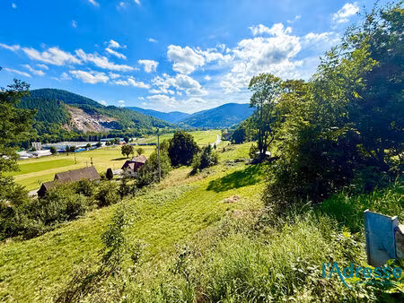 vente terrain  muhlbach