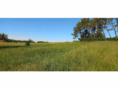 vente terrain 5878 m² échourgnac (24410)