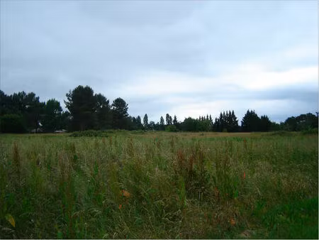 vente terrain 2500 m² saint-michel-de-double (24400)