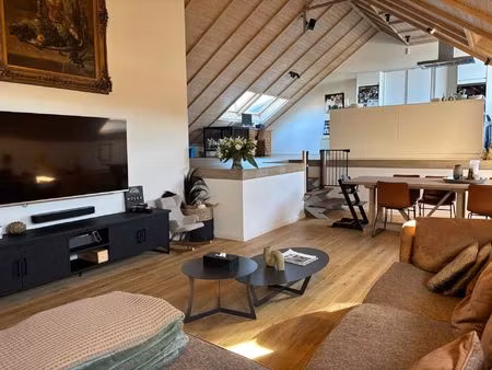 serskamp - luxueuze loft met groot terras.