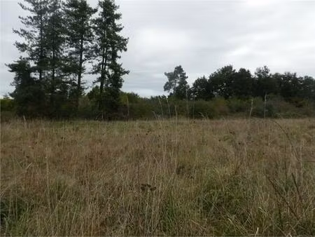 terrain à bâtir à libourne (33500)