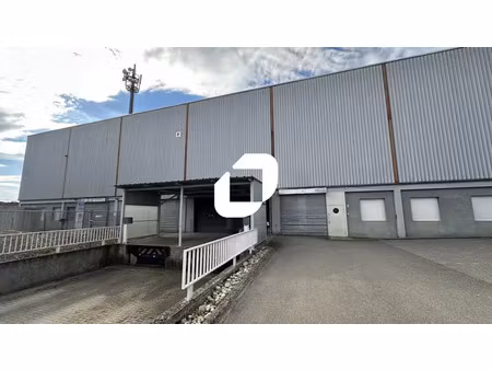 location local d'activités selestat 67600