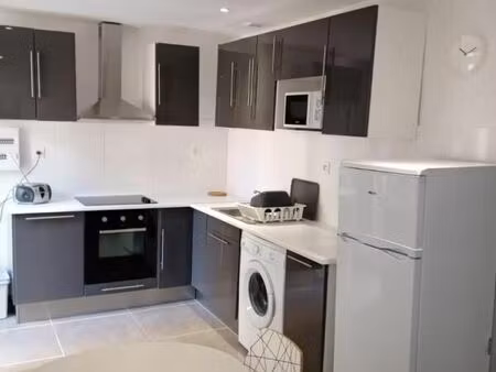 location appartement 1 pièce 28 m² à saint-étienne (42000)