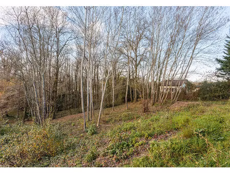 vente terrain 1075 m² urcuit (64990)