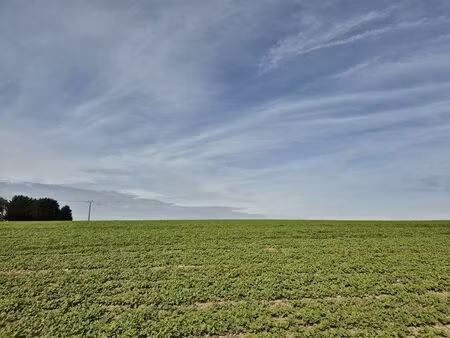 terrain à vendre à denée € 90.000 (lj5xs) - les viviers namur | zimmo