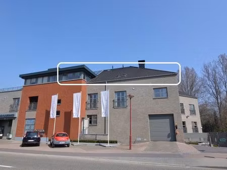 appartement à louer à opoeteren € 710 (lj4gv) - immoké | zimmo