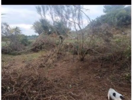 petit jardin à louer