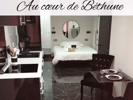 grand studio meublé finitions haut de gamme