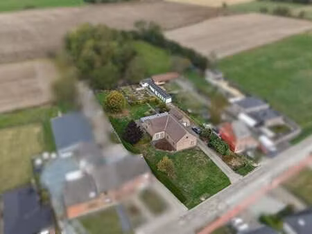 maison à vendre à tisselt € 545.000 (lj55c) - trevi axus vastgoed | zimmo