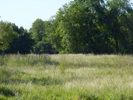 terrain constructible viabilisé à vendre
