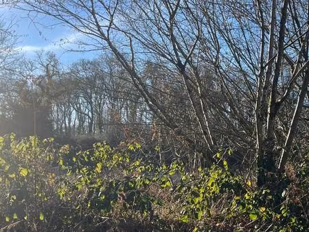 terrain constructible à vendre