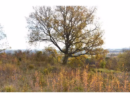 giroussens grand terrain dominant de 1954 m2 proche village cadre résidentiel
